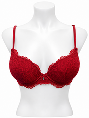 Body Gir Lace Push-Up Bra
